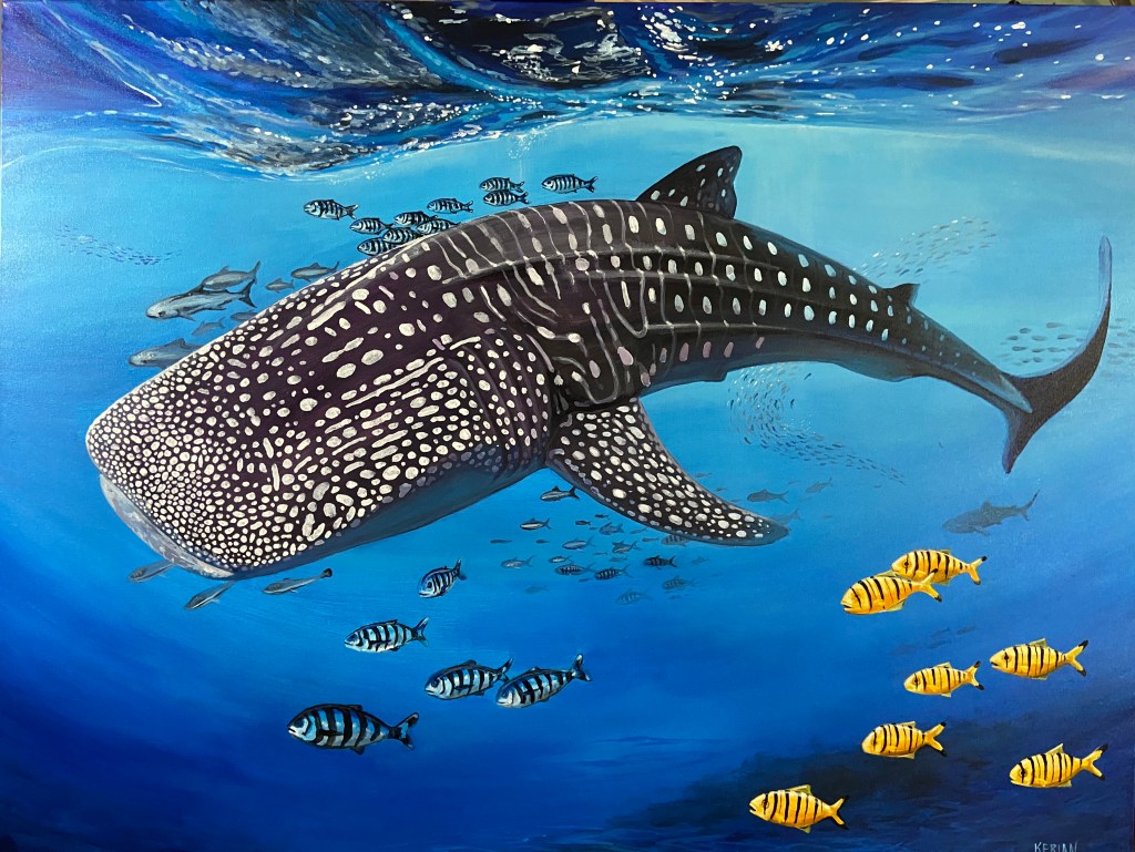 Whale shark painting with a reflection of the surface water swimming with yellow fish